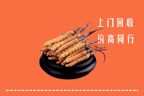 高价求购：抚州崇仁县回收散虫草