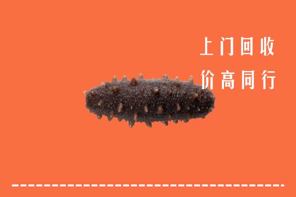 抚州崇仁县回收海参