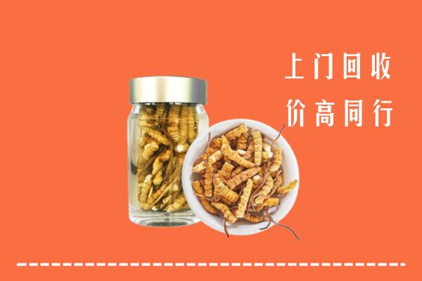 抚州崇仁县回收冬虫夏草