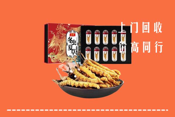 抚州崇仁县回收虫草